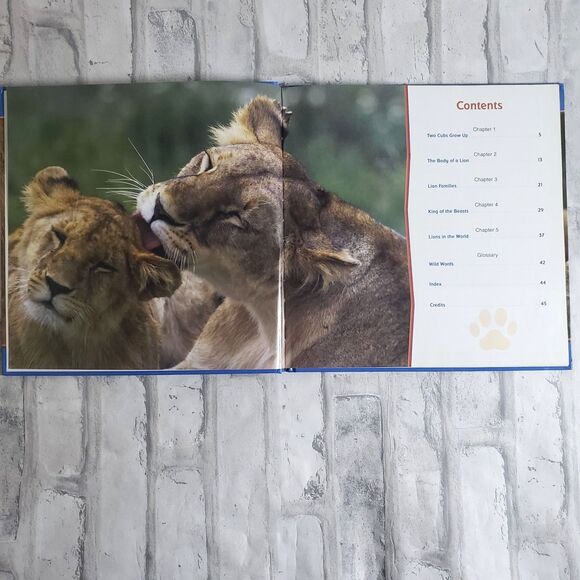 Educational Vintage Reader's Digest All About Lions - Picture 3 of 5